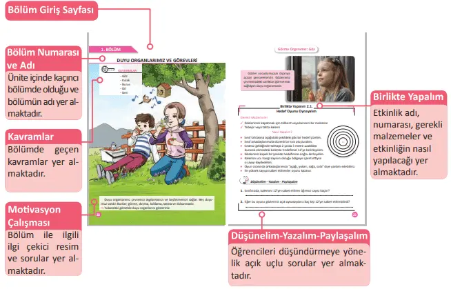 3. Sınıf Fen Bilimleri Ders Kitabı Cevapları MEB Yayınları 2025 3. Sınıf Fen Bilimleri Ders Kitabı Cevapları MEB Yayınları 2021 -1