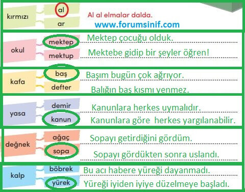 3. Sınıf Türkçe MEB Yayınları Sayfa 161 Ders Kitabı Cevapları