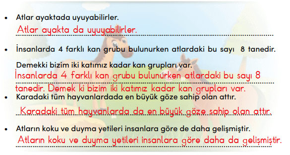 4. Sınıf Türkçe MEB Yayınları Sayfa 216 Ders Kitabı Cevapları