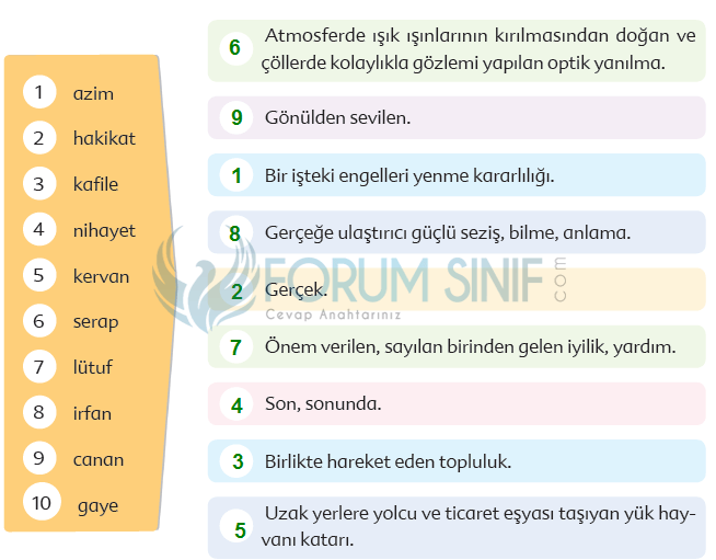 6. Sınıf Türkçe Ders Kitabı Ekoyay Yayınları Sayfa 118 Ders Kitabı Cevapları