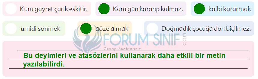 6. Sınıf Türkçe Ders Kitabı Ekoyay Yayınları Sayfa 120 Ders Kitabı Cevapları
