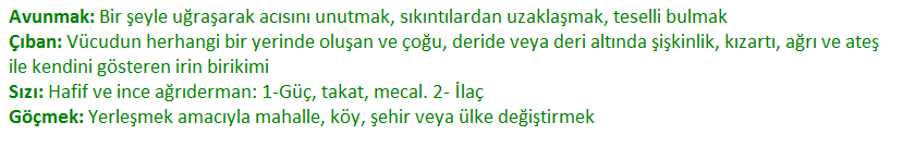 6. Sınıf Türkçe Ders Kitabı Ekoyay Yayınları Sayfa 147 Ders Kitabı Cevapları