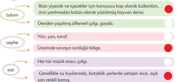 6. Sınıf Türkçe Ders Kitabı Ekoyay Yayınları Sayfa 171 Ders Kitabı Cevapları