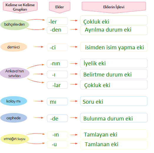 6. Sınıf Türkçe Ders Kitabı Ekoyay Yayınları Sayfa 62 Ders Kitabı Cevapları