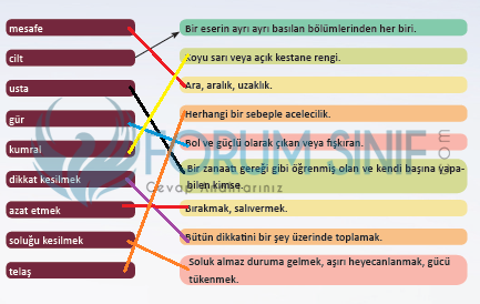 6. Sınıf Türkçe Ders Kitabı MEB Yayıncılık Sayfa 120 Ders Kitabı Cevapları