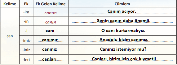 6. Sınıf Türkçe Ders Kitabı MEB Yayıncılık Sayfa 179 Ders Kitabı Cevapları (1)