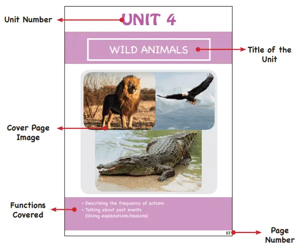 7. Sınıf SDR İpekyolu Yayıncılık İngilizce Ders Kitabı Cevapları - Overview -1