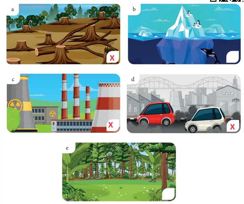 7. Sınıf İngilizce Ders Kitabı 112-113-114-115-116-117. Sayfa Cevapları MEB Yayınları 7. Sınıf İngilizce Ders Kitabı Sayfa 113 Cevapları MEB Yayınları