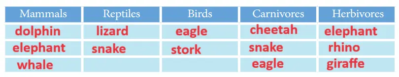 7. Sınıf İngilizce Ders Kitabı Sayfa 47 Cevapları MEB Yayınları1