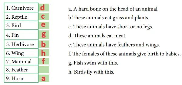 7. Sınıf İngilizce Ders Kitabı Sayfa 47 Cevapları MEB Yayınları11
