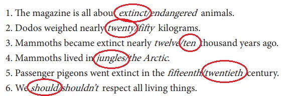 7. Sınıf İngilizce Ders Kitabı Sayfa 48 Cevapları MEB Yayınları1