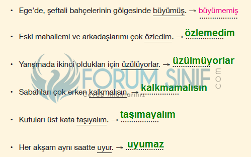 7. Sınıf Türkçe Ders Kitabı Özgün Yayınları Sayfa 96 Ders Kitabı Cevapları 8.etkinlik