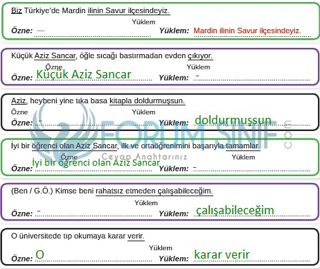 8. Sınıf Türkçe Ders Kitabı MEB Yayınları Sayfa 95 Ders Kitabı Cevapları