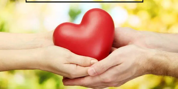 Yardımseverlik ile ilgili hikaye