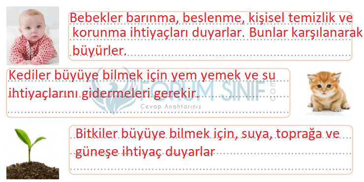 3. Sınıf Türkçe Gizem Yayıncılık Sayfa 158 Ders Kitabı Cevaplar
