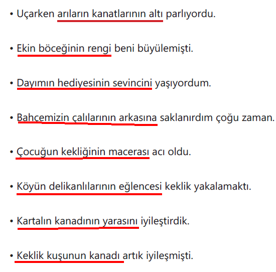 6.-Sinif-Turkce-Ders-Kitabi-Sayfa-124-Cevaplari
