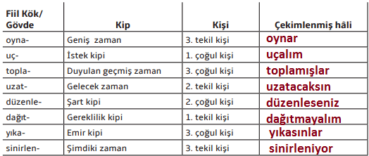 7. Sınıf Türkçe Ders Kitabı MEB Yayıncılık Sayfa 101 Ders Kitabı Cevapları 8.Soru