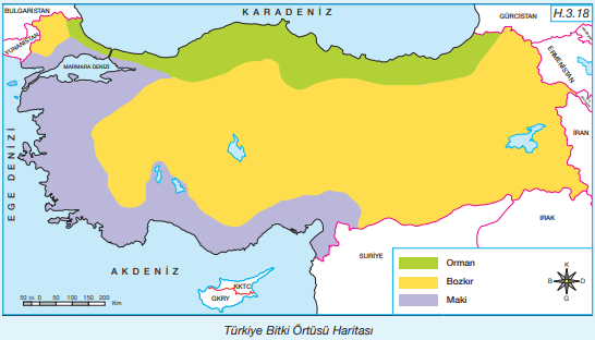 Türkiye Bitki Örtüsü Haritası (1)