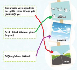 fnl 3. Sınıf Türkçe Çalışma Kitabı Cevapları MEB Yayınları
