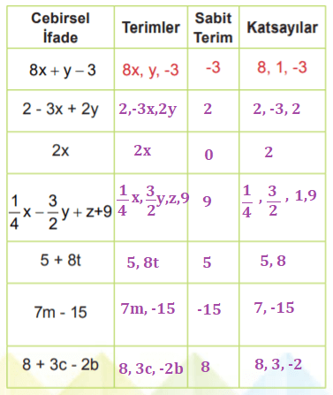 6. Sınıf Matematik MEB Yayınları Sayfa 220 Ders Kitabı Cevapları1