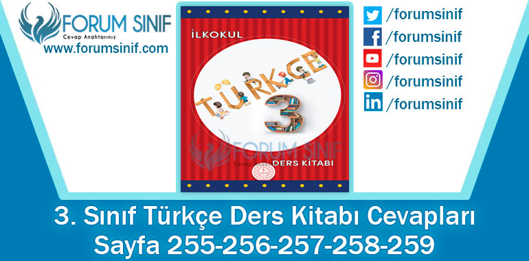 3. Sınıf Türkçe Ders Kitabı 255-256-257-258-259. Sayfa Cevapları MEB Yayınları
