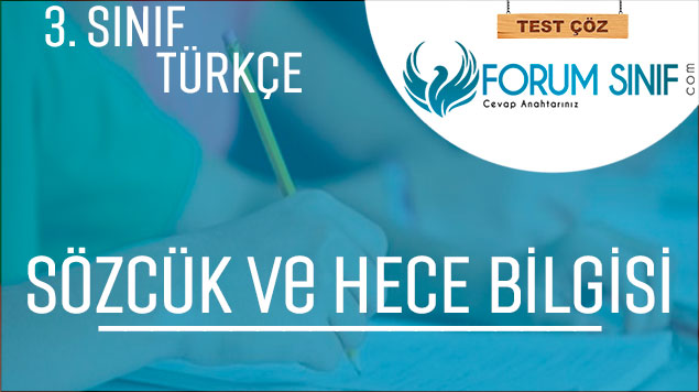 3. Sınıf Türkçe Sözcük ve Hece Bilgisi Testi