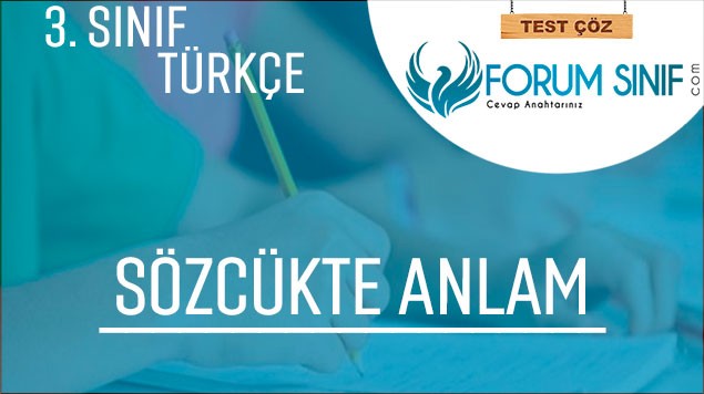 3. Sınıf Türkçe Sözcükte Anlam Test