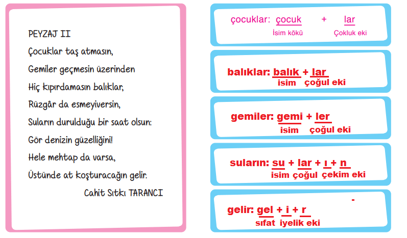 6. Sınıf Türkçe Ders Kitabı ATA Yayınları Sayfa 201 Ders Kitabı Cevapları