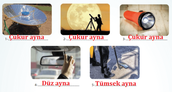 7. Sınıf Fen Bilimleri MEB Yayınları Yayınları Sayfa 165 Ders Kitabı Cevapları