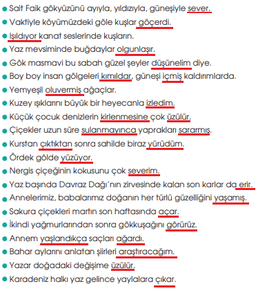 7. Sınıf Türkçe Ders Kitabı MEB Yayınları Sayfa 206 Ders Kitabı Cevapları