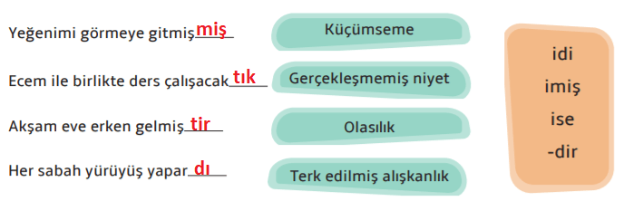 7. Sınıf Türkçe Ders Kitabı MEB Yayınları Sayfa 207 Ders Kitabı Cevapları