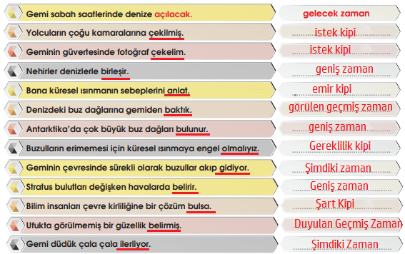 7. Sınıf Türkçe Ders Kitabı MEB Yayınları Sayfa 216 Ders Kitabı Cevapları