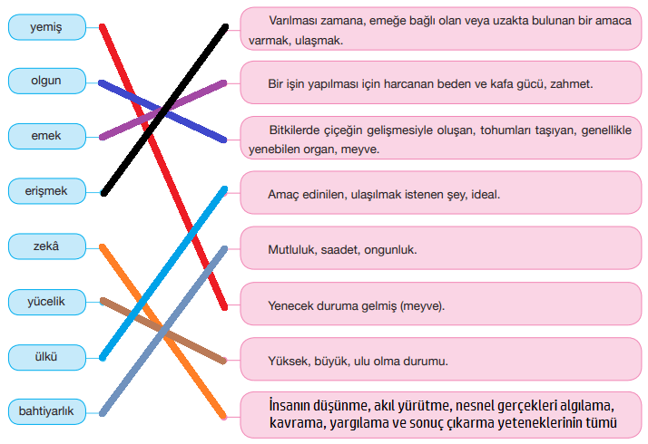 7. Sınıf Türkçe Ders Kitabı Özgün Yayınları Sayfa 201 Ders Kitabı Cevapları