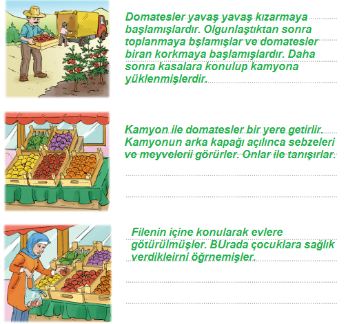 2. Sınıf Türkçe Ders Kitabı ADA Yayınları Sayfa 233 Ders Kitabı Cevapları