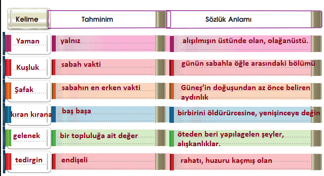 7. Sınıf Türkçe Ders Kitabı MEB Yayınları Sayfa 245 Ders Kitabı Cevapları