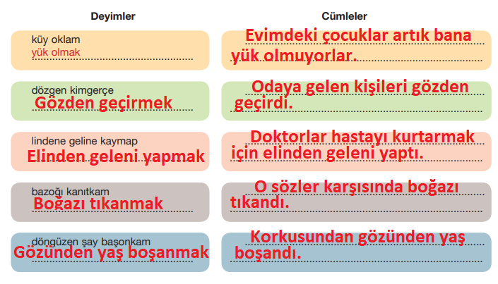 7. Sınıf Türkçe Ders Kitabı Sayfa 23 Cevapları ÖZGÜN Yayınları1