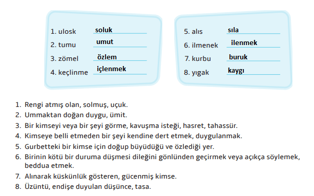 7. Sınıf Türkçe Ders Kitabı Sayfa 24 Cevapları MEB Yayınları