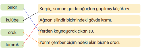 3. Sınıf Türkçe Ders Kitabı Sayfa 74 Cevapları Gizem Yayıncılık