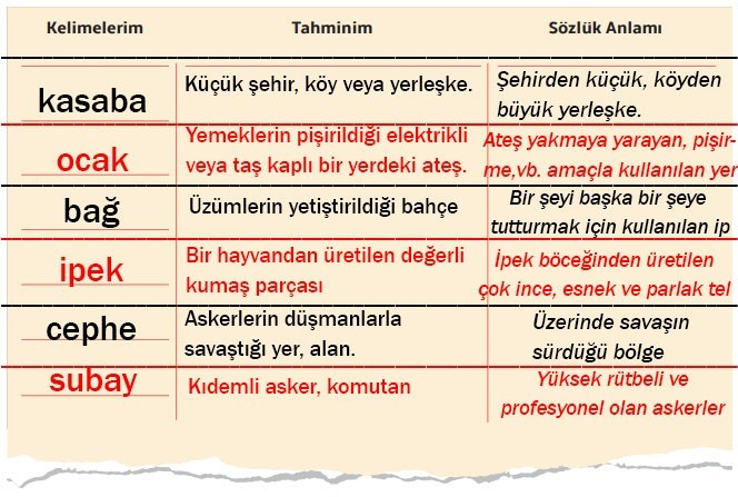 7. Sınıf Türkçe Ders Kitabı Sayfa 48 Cevapları MEB Yayınları