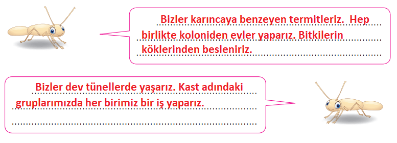 4. Sınıf Türkçe Ders Kitabı Sayfa 160 Cevapları ÖZGÜN Yayınları1