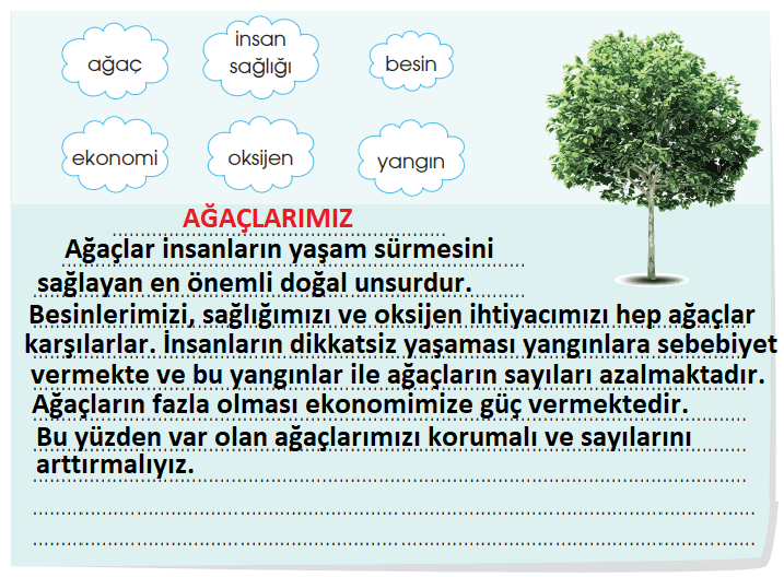 4. Sınıf Türkçe Ders Kitabı Sayfa 172 Cevapları ÖZGÜN Yayınları