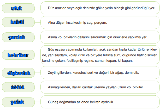 7. Sınıf Türkçe Ders Kitabı Sayfa 149 Cevapları ÖZGÜN Yayınları