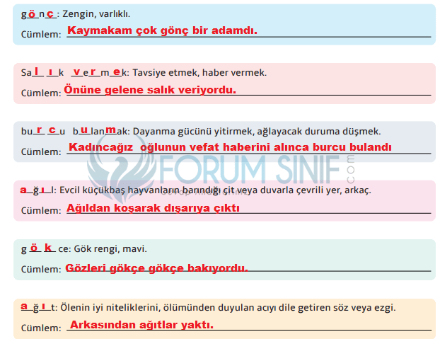 7. Sınıf Türkçe Ders Kitabı Sayfa 175 Cevapları MEB Yayınları