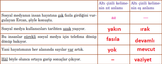 5. Sınıf Türkçe Ders Kitabı Sayfa 226 Cevapları Anıttepe Yayıncılık1