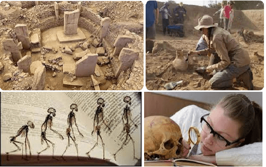Antropoloji ve arkeoloji gibi bilimlerin geçmişi aydınlatmadaki rolleri nelerdir