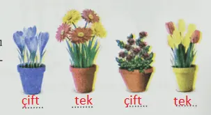 3. Sınıf Matematik Ders Kitabı Sayfa 47 Cevapları Ekoyay Yayıncılık