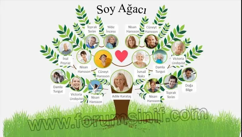 4. Sınıf Sosyal Bilgiler Ders Kitabı 28-29-30. Sayfa Cevapları Hecce Yayıncılık 4. Sınıf Sosyal Bilgiler Ders Kitabı Sayfa 30 Cevapları Hecce Yayıncılık