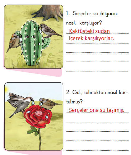 2. Sınıf Türkçe Ders Kitabı Sayfa 21 Cevapları MEB Yayınları