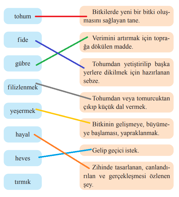 2. Sınıf Türkçe Ders Kitabı Sayfa 34 Cevapları ADA Yayınları