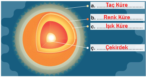 3. Aşağıda Güneş’in katmanları verilmiştir. Bu katmanları, verilen model üzerindeki noktalı yerlere yazarak gösterelim.